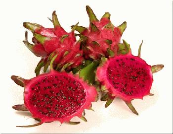 Dragon Fruit